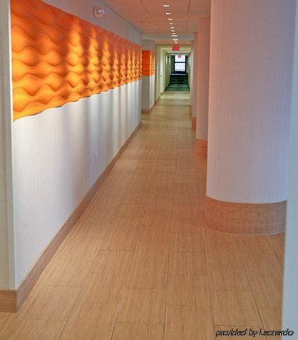 Hotel Springhill By Marriott 3*